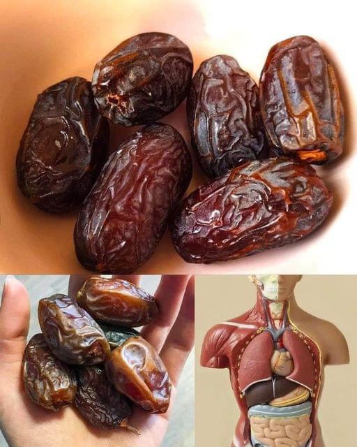 HT4. The Healthiest Fruit on Earth: What Happens to Your Body If You Eat Just 3 Dates a Day