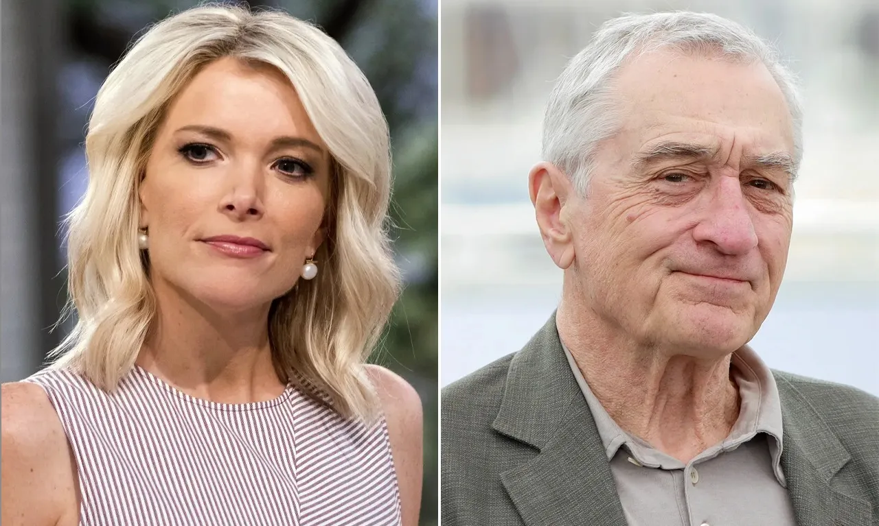 BREAKING NEWS: Megyn Kelly bluntly called Robert De Niro ‘Extremely stupid’ on television!